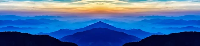 MailPoet Newsletter